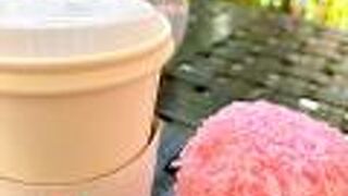 ザ ロイヤル ハワイアン ア ラグジュアリー コレクション リゾート ワイキキ