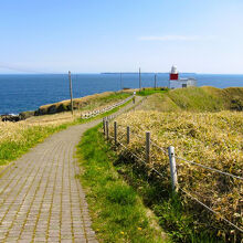 遊歩道が続きます