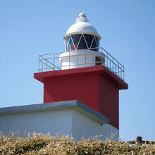 可愛い花咲灯台