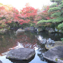 紅葉が映える美しい庭園