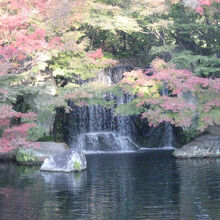 水が流れ落ちる音が耳にも爽やか