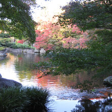 緑の中で紅葉が美しいアクセントに