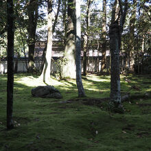 苔がきれいな庭の参道を歩いていきます。