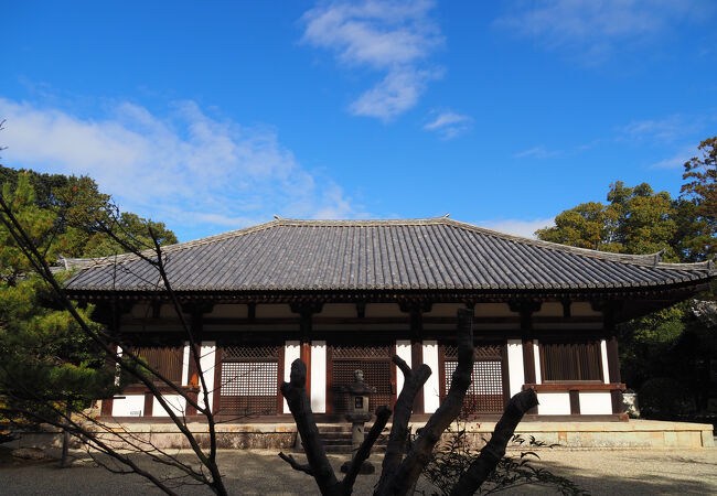 コンパクトな本堂の中に見ごたえのある仏像が