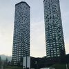 雲海は見られず、残念