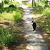 あん猫
