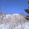 mamikonさん