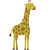 giraffe_449