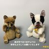 olive26さん