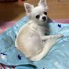 トラベル　マニーさん