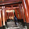 りんごさん
