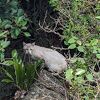 昆布盛シーサイドさん