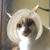 Neko Tabiさん