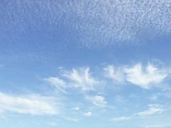 憧れの紅海レッド・シーで海辺生活