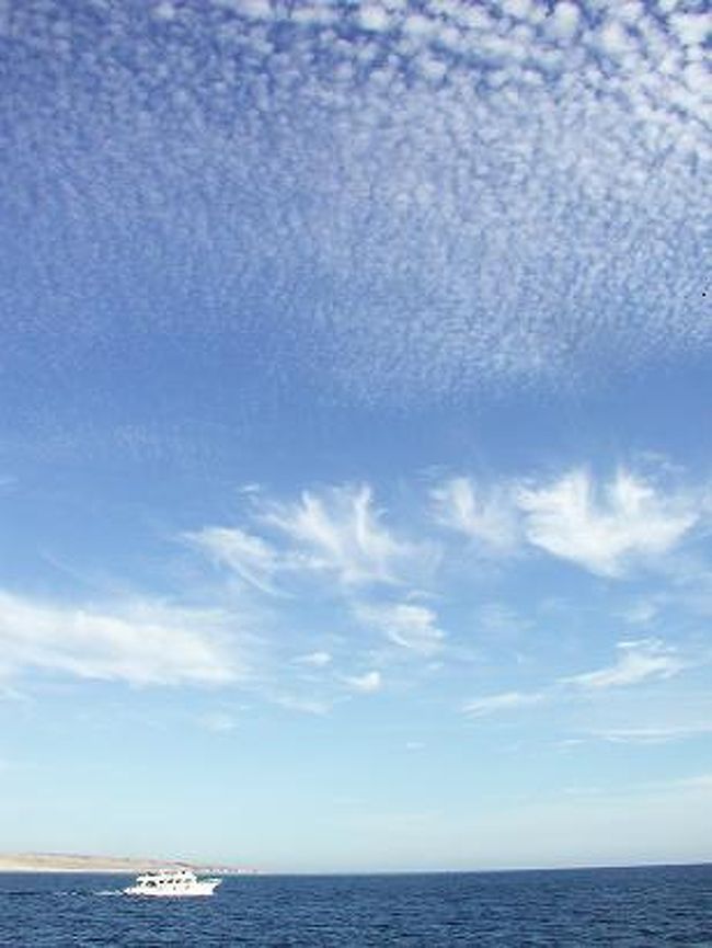 紅海沿岸のダイビングに出かけてきました！<br />関西空港からエジプト航空でカイロまで、翌朝一番の飛行機でハルガタへ、コーランで目覚めて海の様子を見て朝食、船に乗り込み今日のポイントはどこへ？？<br />　船内で調理されるランチでお昼ね付、夕方まで船上生活。<br />19℃〜22℃の水温は風が吹くと冷たいけどほぼ毎日の好天で日焼けするくらいの気持ちよさ、海中風景の素晴らしさは感激ものです。ハルガタからシャルムエルシェイクにはフェリーでやってきました。ヨーロッパやロシアのゲストが多くて賑やかなリゾートでした！