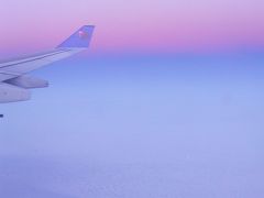 エジプト航空で紅海レッド・シーへ