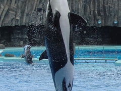 名古屋港水族館夏バージョン