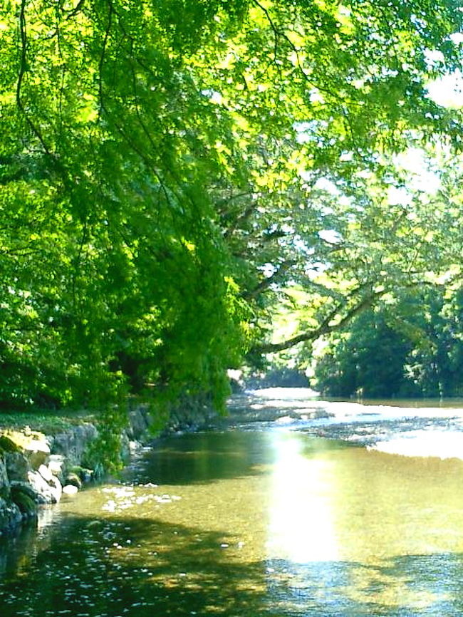 夏休みを1日とって、時期外れのお伊勢参り。<br /><br /> どこもかしこも変容して行く時代に、伊勢は良い意味で安定した街である。