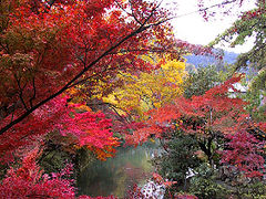 東山だけでもたっぷり紅葉三昧♪