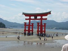 厳島神社に行って来ました。