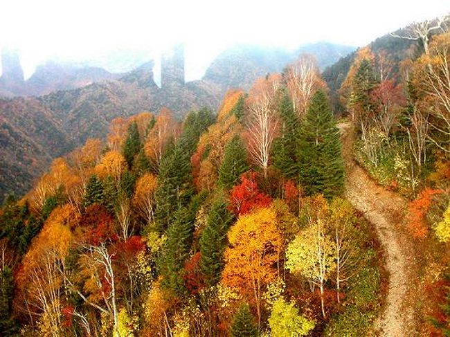 　山の紅葉を見ようと観光バスのツアーで新穂高・ロープウエイを申し込みました、当日はとてもよい天気で、名古屋駅の西口の集合場所に行ったのですが、そのほかに乗鞍高原散策、白山スーパー林道のコースなどがあり、各社のツアーが色々と出てました。乗車人員は４５名でほぼ満員状態でした、乗っている方はお年寄りの夫婦の方が多く我々が一番若かったみたいです、バスは北陸自動車道〜郡上八幡〜せせらぎ街道を通って新穂高まで(紅葉の時期は郡上八幡コースで、そのほかは飛騨清美経由）約４時間半の長時間です。途中でガイドさんの話ですと乗鞍高原高原は道路が凍結で、通行禁止で白山スーパー林道も危ないとのことでした。新穂高のロープウエイは３６５日動いているとのことでしたが、数日前に御嶽山のロープウエイで死亡事故があり、ちょっと不安でした。平野はまだまだ紅葉していませんが、せせらぎ街道の頂上は紅葉で綺麗でしたが通りぬけだけでした。途中のドライブインで、弁当が出されましたが(別料金で千円です）、家内はツアーで申し込んでいましたが、私はおにぎりでいいということで、おにぎりを買ってもって行きましたが、弁当はどうも名古屋で積み込まれたもので、余り美味しくないと言っていました、おにぎりが正解でした。途中乗鞍高原への入り口があったのですがやはり凍結で、通行止めになっていました。バスは第２ロープウエイに止まりましたが、途中の道路が狭くバス1台が通れるくらいでしたが、駐車場が狭くシーズンの土日は大変とのことでした。着いたのは１２時半頃で出発は１４時４０分とのことでした。ロープウエイは２階建てで定員は１２０名、３０分間隔で運行されて人が多いときは臨時便がでるとのことでした。駐車場付近は素晴らしい紅葉で、見事な色でした。約７分で頂上に着きましたが途中の紅葉は素晴らしい景色の展開でした。頂上に近づくと霧が出ており、頂上は何も見えない状態で、仕方なく、散策を散策をしましたが、池には氷が残っていて、真冬の状況で、木々は枝だけで寒々とした光景でしたが、１０分くらいすると霧も晴れたので、展望台に上がりましたら徐々に霧が晴れ、多少は雲があったのですが、全貌が見えるようになりました、寒かったので、休憩所で、コーヒーを飲んでいましたら、また霧に覆われ見えなくなりました、山の天気は分からないですね。時間も近くなったのでロープウェイで下山しようとしましたら人が多くて臨時便が出て増した。あっという間の時間でしたが、紅葉は存分に楽しめました。 