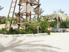 憧れの紅海レッド・シーで海辺生活、ビーチには