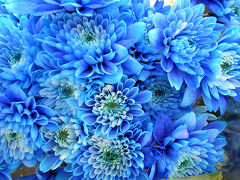 ’04ポルトガル day1 カスカイス周辺