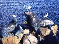 地球の島めぐりー７０島・オーストラリア・タスマニア島