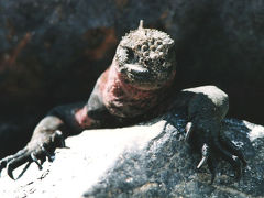 ガラパゴスの旅行記