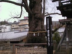 信州の鎌倉別所温泉
