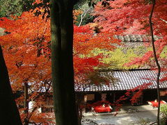 紅色京都