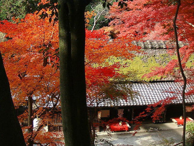 さすがに古都「京都」ならではの紅葉の数々。やはり魅力ある地に、人は吸い寄せられるように集まるもの・・・詳しくは私の運営するサイト内での旅行記＠ひろみのおさんぽhttp://www.jojitown.net/one/osanpo/hirominoosanpo.htm「紅色京都」でご紹介しています