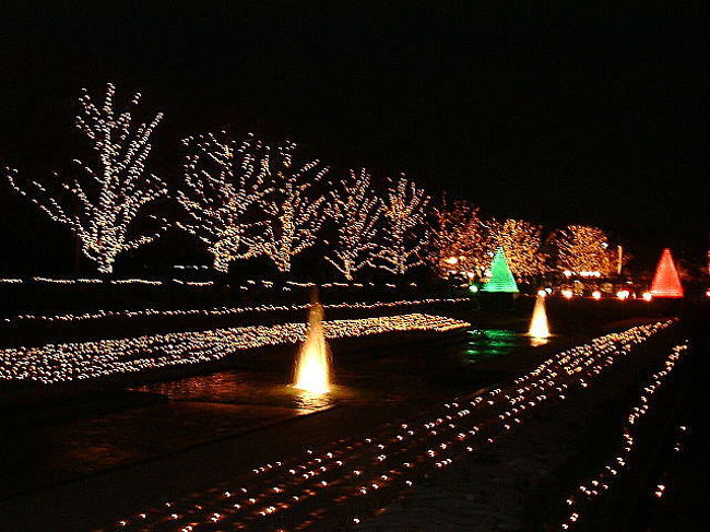 国営昭和記念公園 Winter Present 立川 東京 の旅行記 ブログ By ひろみさん フォートラベル