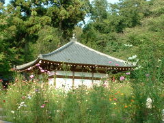 043桜井市・阿倍文珠院