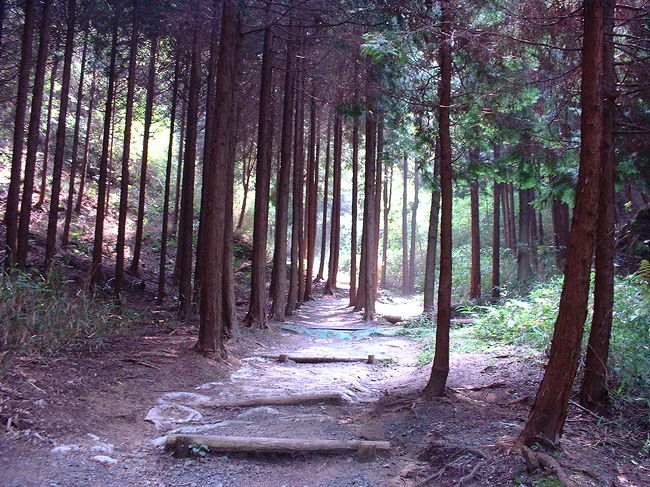 280ｍほどの上りやすい山です。近所の方は散歩記録がてら継続して上っているみたいです。枚方市内から高槻市、天王山・八幡市方面の展望がききます。<br />