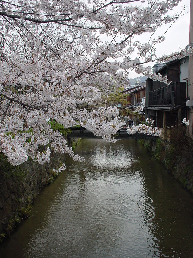 ２泊３日の駆け足旅行。<br />２度目の新幹線のぞみ。。。