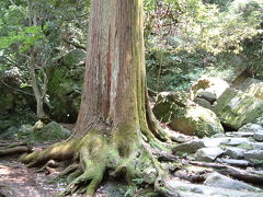 061泉佐野市・犬鳴山