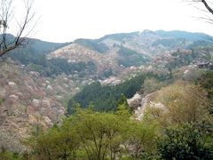 077吉野の桜