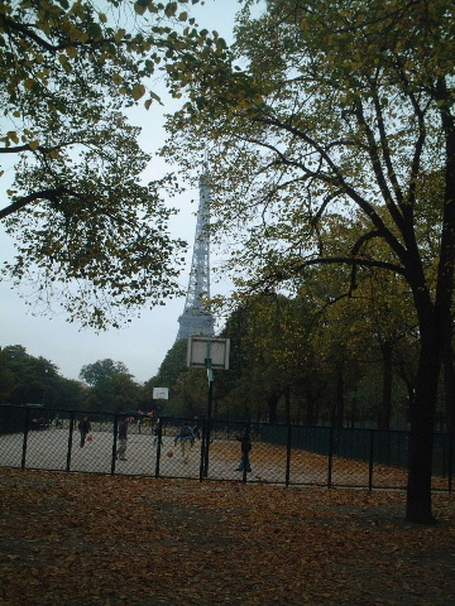 秋のパリ・・・楽しくてエキサイトした夏が終わり、何となくものさびしい、人恋しいパリ。落ち葉を踏みながらの散歩。今回は３時間くらい一人でパリの街を彷徨いました・・・・