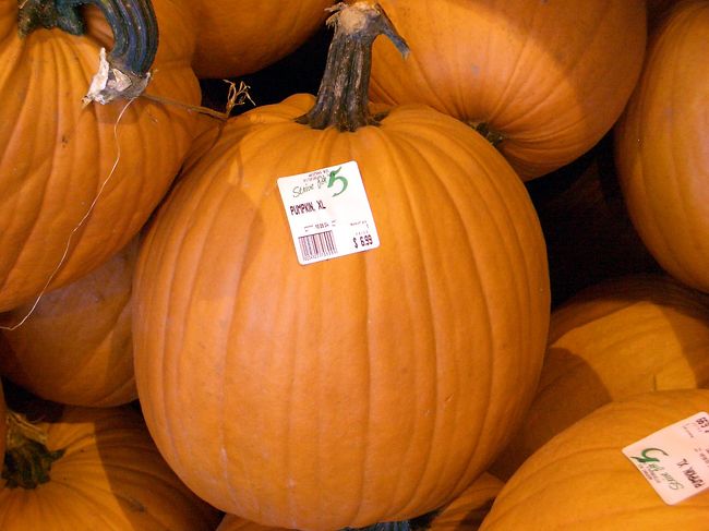 Trick or Treatで有名なハロウィーンの季節になりました。それまでお店で見かけたことも無かったカボチャが一斉に出回り始めました。それまでカボチャと言えば日本で見る緑色のものだとばかり思い込んでいたのですが、アメリカでは皆オレンジ色なのに正直言って驚きました。日本みたいな緑色はありません。プラスチックみたいなオレンジ色です。そして巨大です。直径３０ｃｍ級は当たり前、５０ｃｍクラスもごろごろしています。