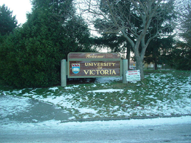 ビクトリアのダウンタウンからバスで約20分、ビクトリア大学があります。2003年のクリスマスはビクトリア・バンクーバー・シアトルは大雪に見舞われ、ビクトリア大学（UVIC）キャンパスも雪だらけでした。UVIC名物のウサギたちは普通に草食べてましたけど.