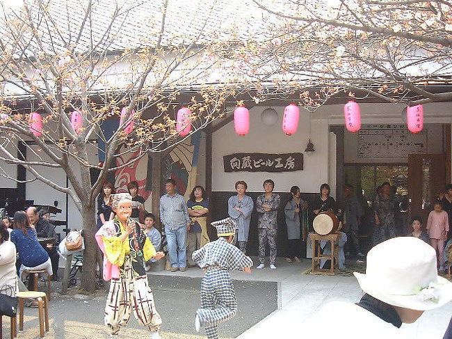 jojitownサポーター『石川酒造』さんのさくら祭りに伺ってきました　jojitown関係者の皆様をお誘いして、桜を愛でながら有意義なひとときを満喫しました　お水がおいしい！お酒がおいしい！