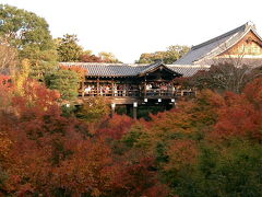 京都紅葉紀行～東福寺周辺～