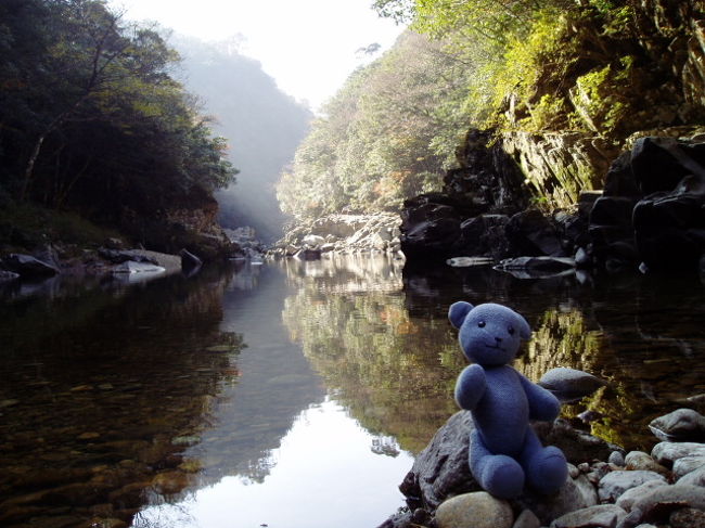 山口県内の紅葉の名所、長門峡。<br />行った時には、ピークを思いっきり過ぎてましたが、水の音を聴きつつのハイキングは楽し。