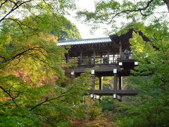 東福寺の紅葉を訪ねて