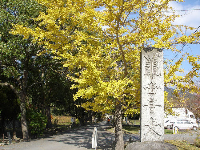 天気が良かったので、太宰府天満宮周辺の紅葉鑑賞に行ってきました。