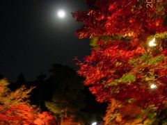 京都紅葉の旅 2004 − その二