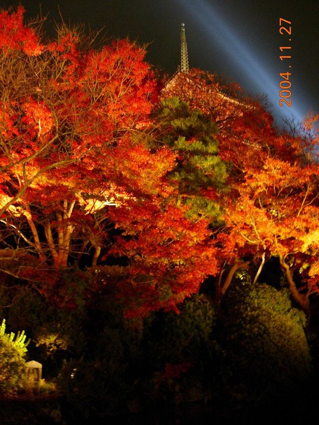 修学旅行から十ウン年ぶり！に京都に行ってまいりました。京都に詳しい人達からいろいろと情報を仕入れ､9月くらいに11月末にしよう、と決めたらベストでした！今年はどうやらもみじの色がまだらだったのだそうです。それでもやっぱりあの風情にもみじは合いますね〜。写真もいっぱい撮るぞ！と思ったのにいきなりデジカメが故障！しばらくは友達のだけで撮りました。現地に着いてからデジカメを購入し（まけてもらえた！）そのまま充電させてもらえました！京都紅葉の旅2004、まずはその一よりご覧下さい♪