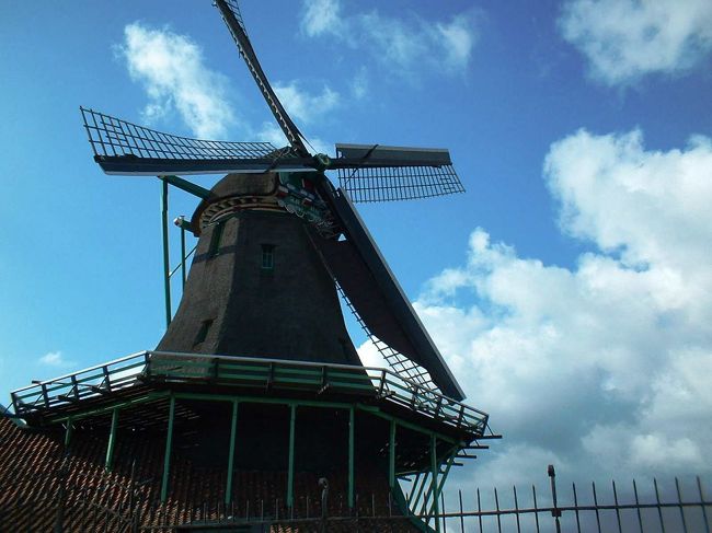 ●2005/05/08更新<br /><br />[旅行記通し番号　2]<br />オランダといえば、チューリップ、風車、チーズ。<br />その中の風車の保存地区ザーンセ・スカンスへアムステルダムから日帰り旅行。<br />すばらしいところでした。本当によいです。<br /><br />ザーンセ・スカンスはアムステルダムからすぐ近くのところにある風車の保存区で、野外博物館村があります。<br />風車といえばキンデルダイクが有名ですが、こっちのほうがアクセスはよいです。<br />結構感動できますよー。<br /><br />ここでクチコミするほどではないんですが、<br />このあたり、実は普通の住宅街です。<br />途中で幼稚園があったり、野良猫に遭遇したり、風車以外は観光地でも何でもありません。<br />でも、そんな日常的な風景を見ることも面白いと思います。<br /><br />さらに実はですが、近くに何かの工場があってそこから何ともいえない臭いが発せられてました。<br />地元の人は全く気づいていないと思いますが、電車から降りたとたんモワーっと臭います。<br />字では表現できないので気になる人は行ってみることをお勧めします。<br /><br />