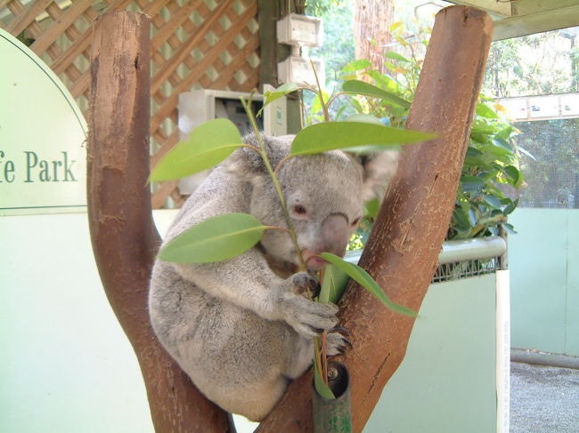 　2004年ゴールデンウイークにシドニーに行きました。ステイ先はシャングリラホテルシドニー（旧ANAホテル）です。シドニー市内観光と、ブルーマウンテン一日観光、フェザーデイル動物園についてまとめてあります。